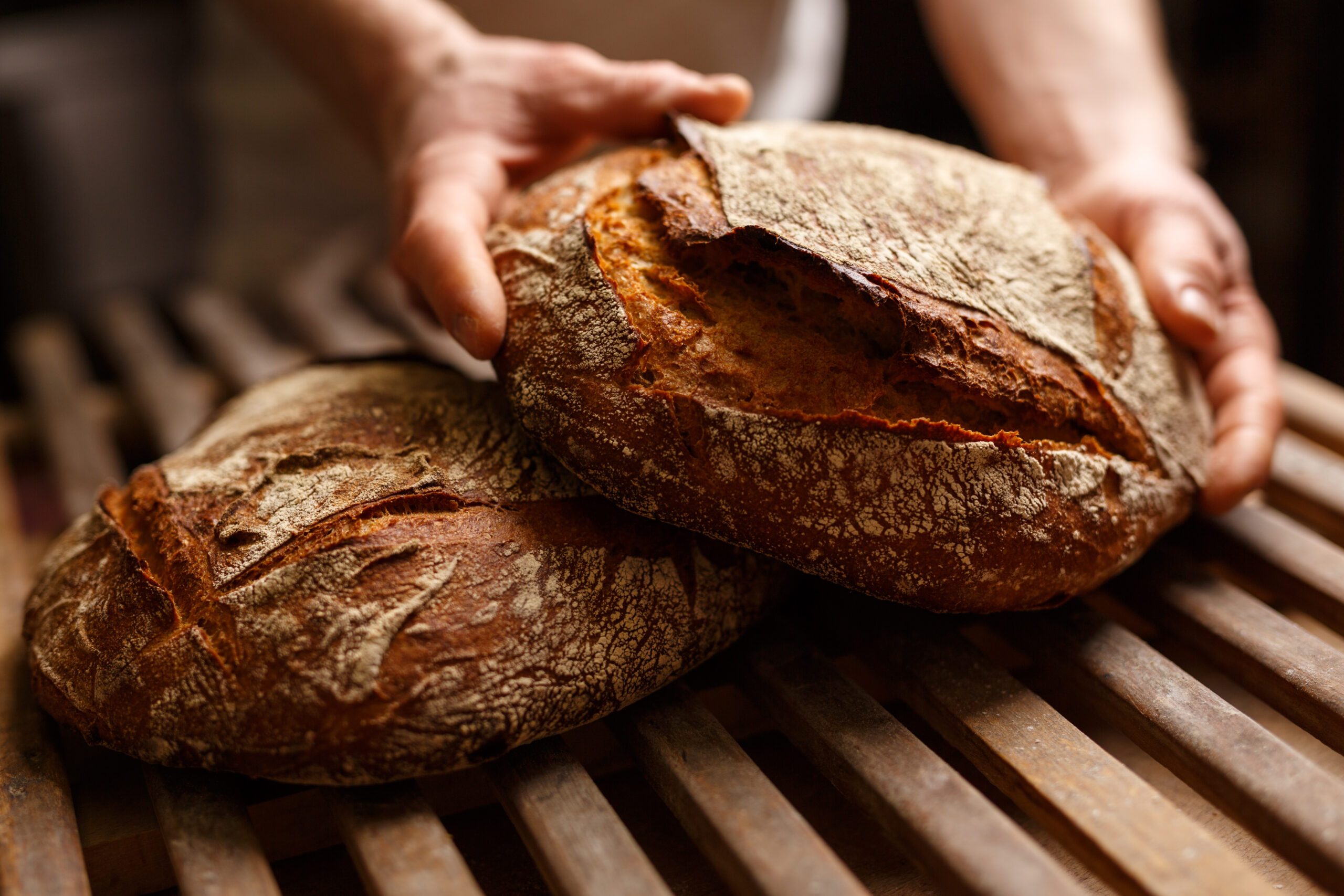 10 anecdotes bien poussées sur le pain