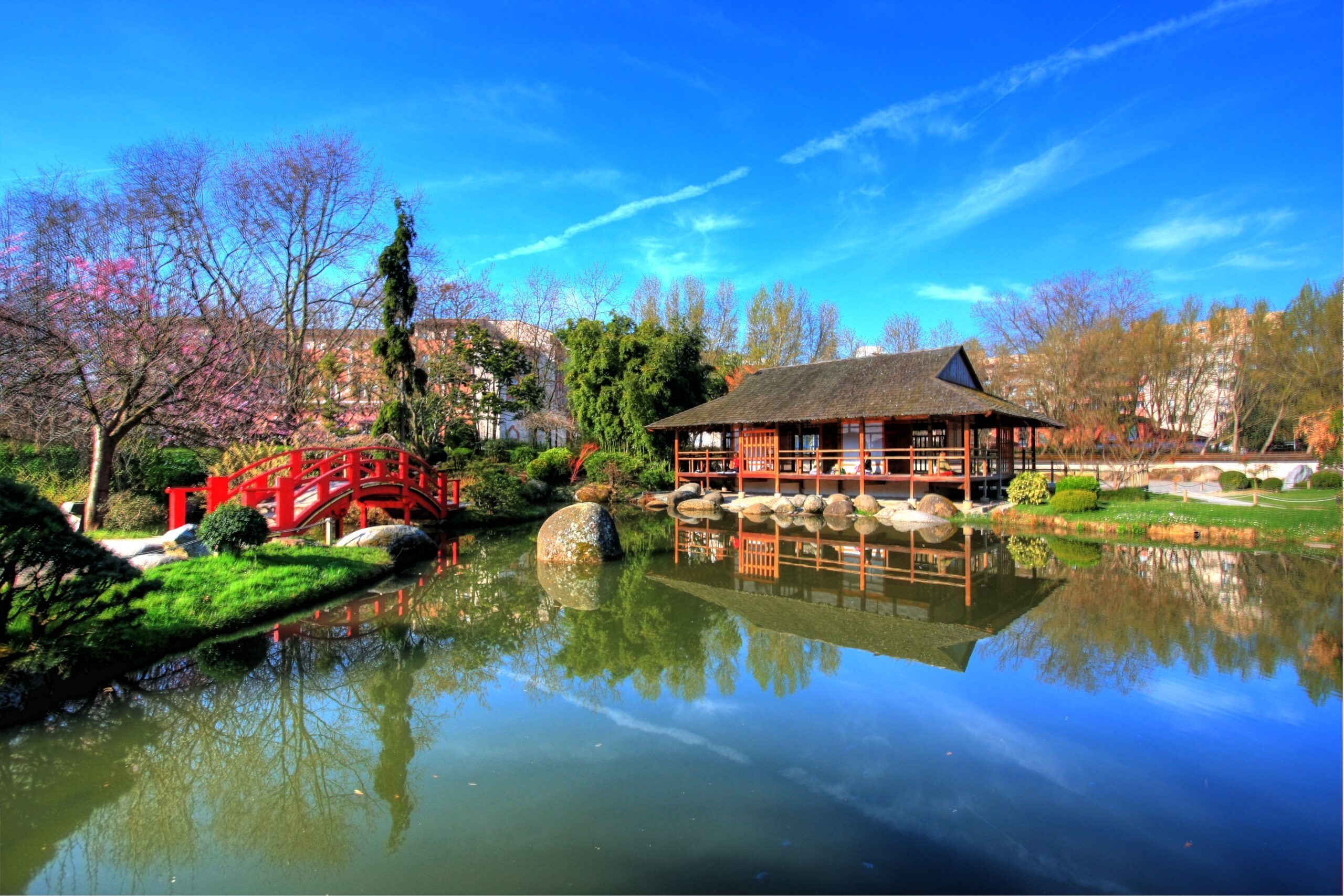 Flânez dans 5 des plus beaux jardins japonais de France