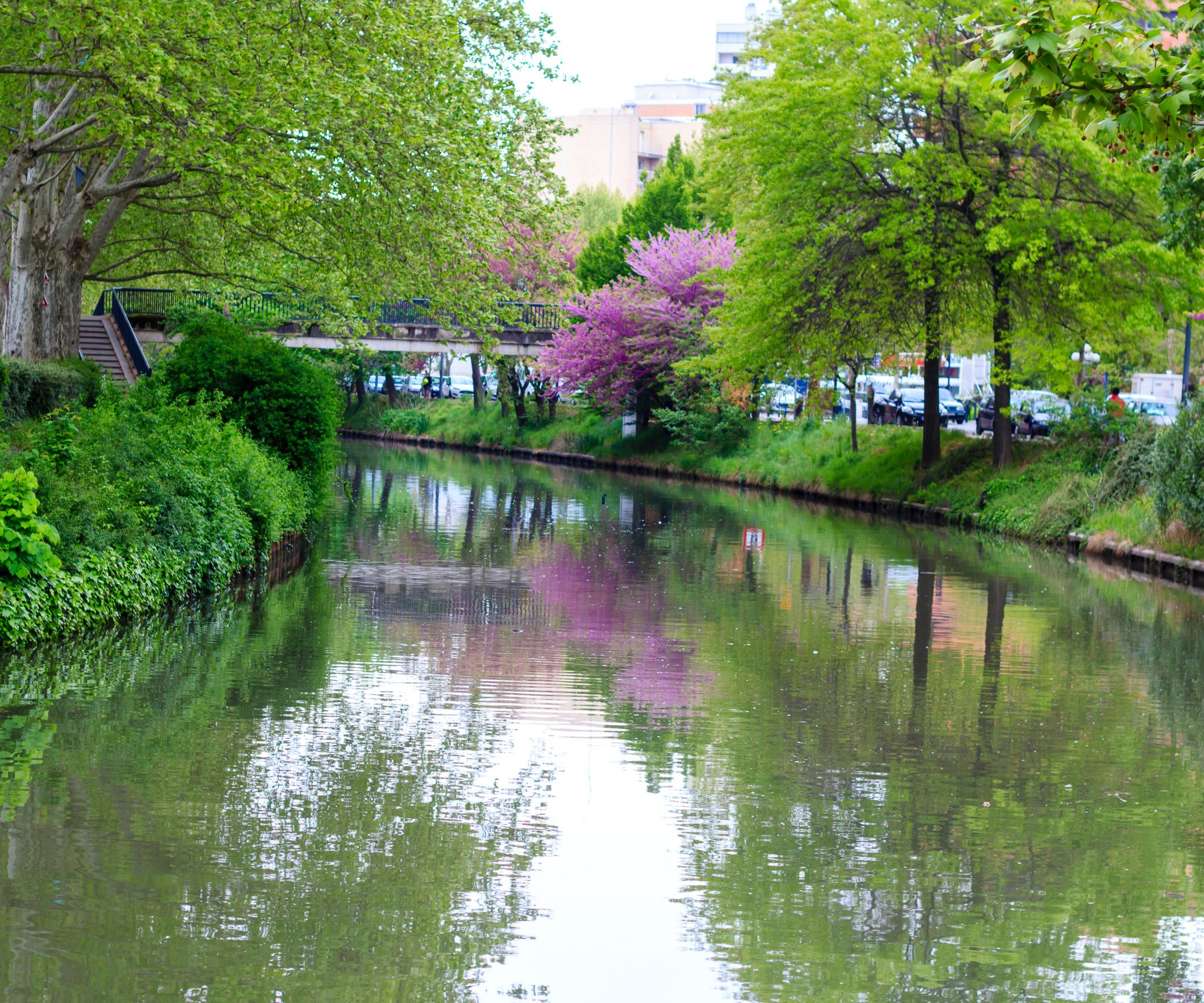 L'histoire du canal du Midi