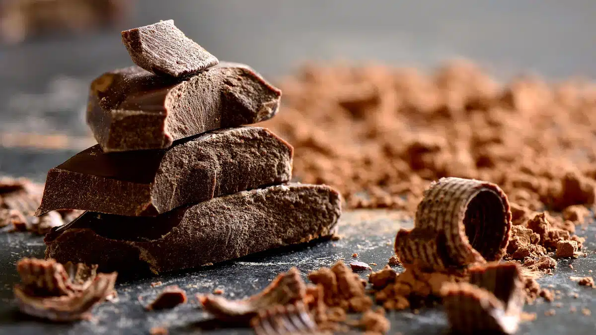 Le Marché d'Artisans du Chocolat : l'événement culinaire qui va régaler les toulousains