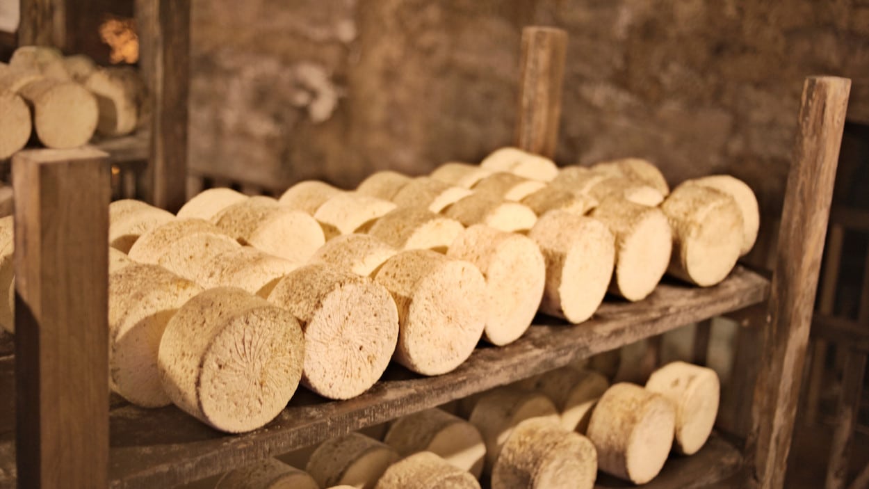 la route des fromages de l'Aveyron