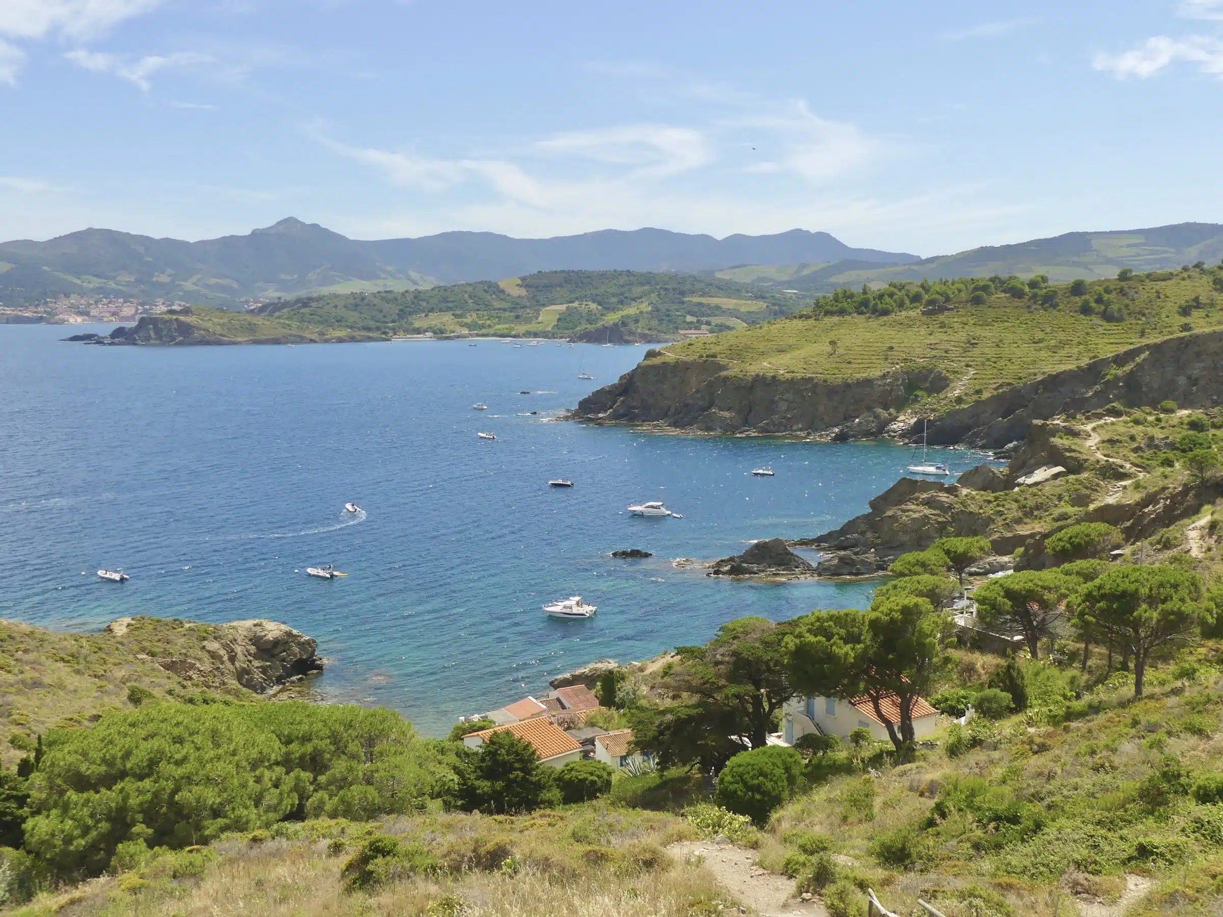 Visiter Collioure et ses alentours : les incontournables de la Côte Vermeille