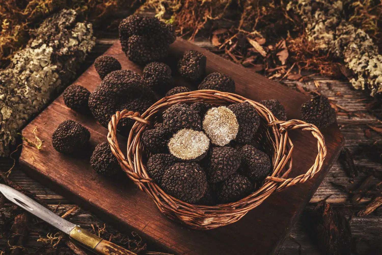 Foire à la Truffe de Cuzance le samedi 12 décembre